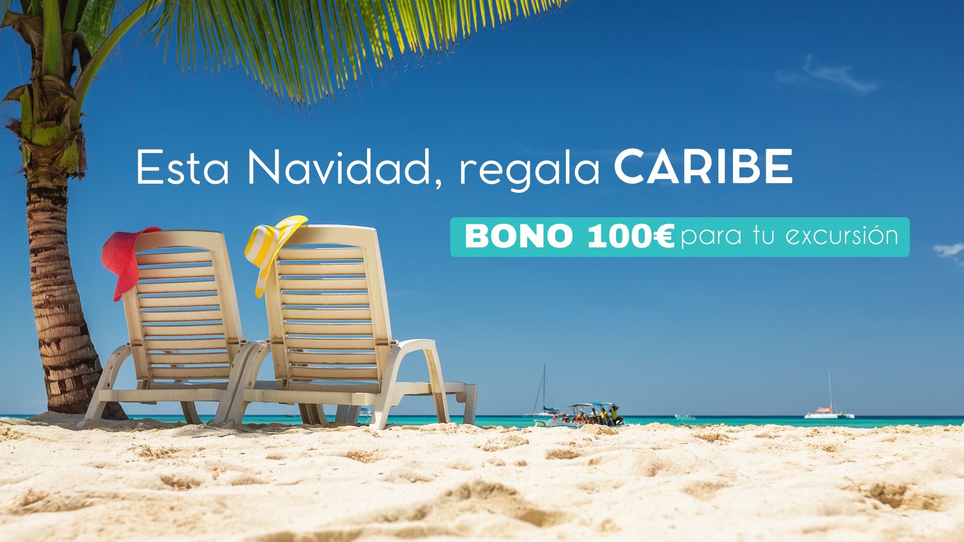 Navidad Promocion excursión